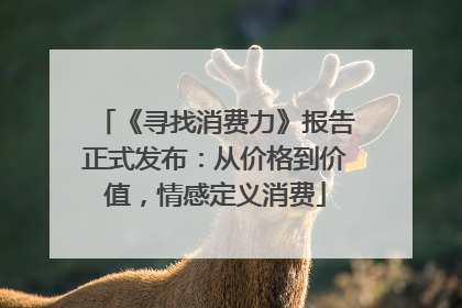 《寻找消费力》报告正式发布：从价格到价值，情感定义消费