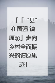 「“县”在图强·镇原③」走向乡村全面振兴的镇原轨迹