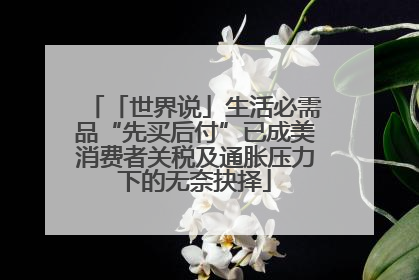 「世界说」生活必需品“先买后付”已成美消费者关税及通胀压力下的无奈抉择