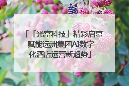 「光富科技」精彩启幕 赋能远洲集团AI数字化酒店运营新趋势