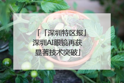 「深圳特区报」深圳AI眼镜再获显著技术突破