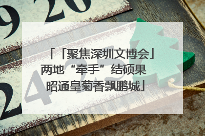 「聚焦深圳文博会」两地“牵手”结硕果 昭通皇菊香飘鹏城