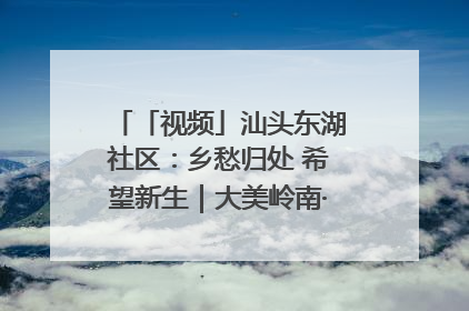 「视频」汕头东湖社区：乡愁归处 希望新生｜大美岭南·百村焕新记