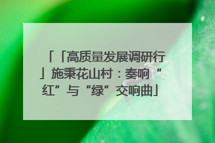 「高质量发展调研行」施秉花山村：奏响“红”与“绿”交响曲
