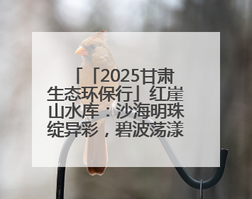 「2025甘肃生态环保行」红崖山水库：沙海明珠绽异彩，碧波荡漾润绿洲