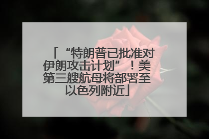 “特朗普已批准对伊朗攻击计划”！美第三艘航母将部署至以色列附近