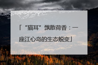 “猫耳”飘散荷香：一座江心岛的生态蜕变