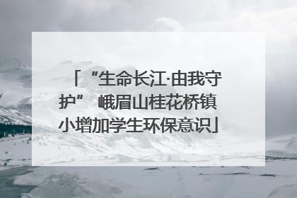 “生命长江·由我守护” 峨眉山桂花桥镇小增加学生环保意识