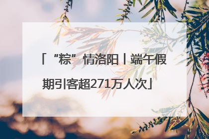 “粽”情洛阳丨端午假期引客超271万人次