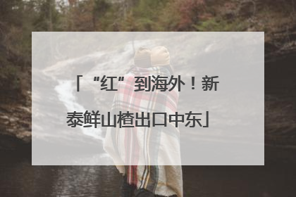 “红”到海外！新泰鲜山楂出口中东