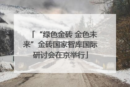 “绿色金砖 金色未来”金砖国家智库国际研讨会在京举行