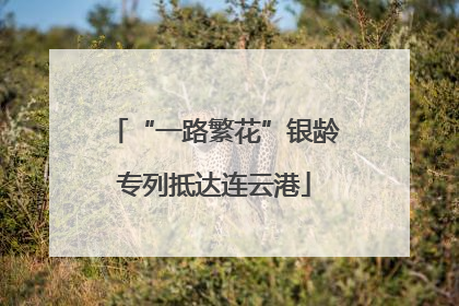 “一路繁花”银龄专列抵达连云港