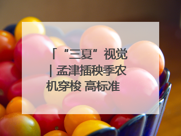 “三夏”视觉｜孟津插秧季农机穿梭 高标准农田披绿装