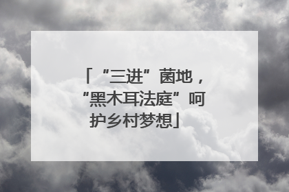 “三进”菌地，“黑木耳法庭”呵护乡村梦想