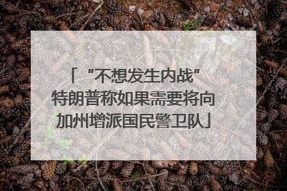 “不想发生内战” 特朗普称如果需要将向加州增派国民警卫队
