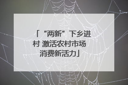 “两新”下乡进村 激活农村市场消费新活力