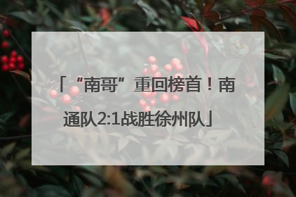 “南哥”重回榜首！南通队2:1战胜徐州队