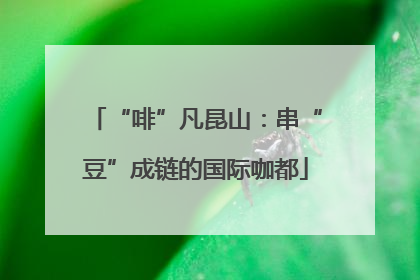 “啡”凡昆山：串“豆”成链的国际咖都