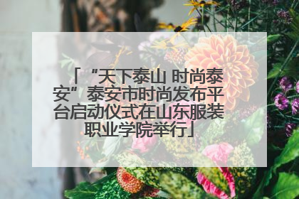 “天下泰山 时尚泰安”泰安市时尚发布平台启动仪式在山东服装职业学院举行