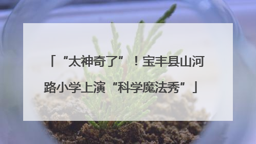 “太神奇了”！宝丰县山河路小学上演“科学魔法秀”