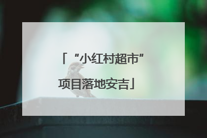 “小红村超市”项目落地安吉
