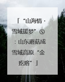 “山海情・雪域援梦”⑤：山东蘑菇成雪域高原“金疙瘩”