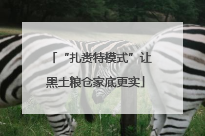 “扎赉特模式”让黑土粮仓家底更实