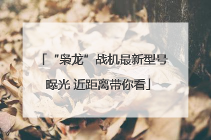 “枭龙”战机最新型号曝光 近距离带你看