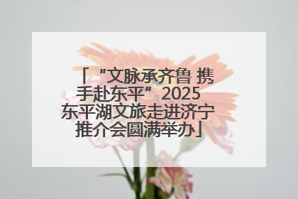 “文脉承齐鲁 携手赴东平”2025东平湖文旅走进济宁推介会圆满举办