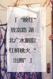 “映红”致富路 湖北广水胭脂红鲜桃火“出圈”