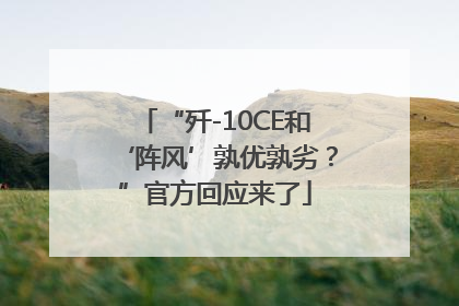 “歼-10CE和‘阵风’孰优孰劣？”官方回应来了