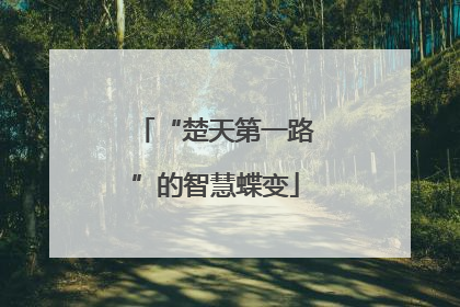 “楚天第一路”的智慧蝶变