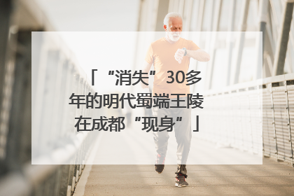 “消失”30多年的明代蜀端王陵在成都“现身”