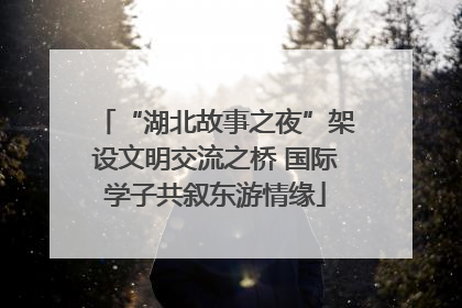 “湖北故事之夜”架设文明交流之桥 国际学子共叙东游情缘