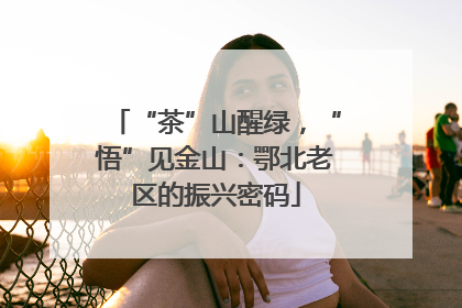 “茶”山醒绿，“悟”见金山：鄂北老区的振兴密码