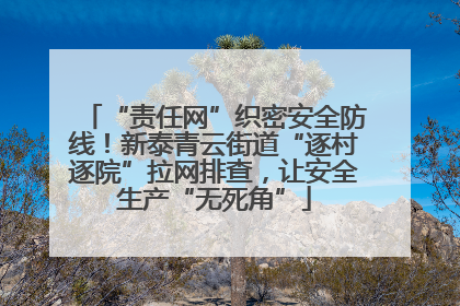 “责任网”织密安全防线！新泰青云街道“逐村逐院”拉网排查，让安全生产“无死角”