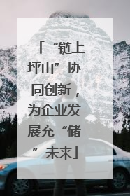 “链上坪山”协同创新，为企业发展充“储”未来