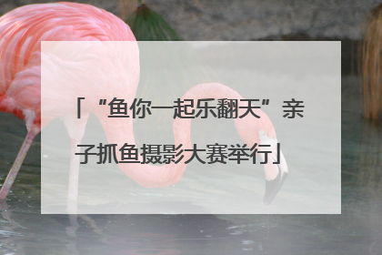 “鱼你一起乐翻天”亲子抓鱼摄影大赛举行
