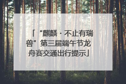 “麒麟・不止有瑞兽”第三届端午节龙舟赛交通出行提示