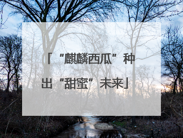 “麒麟西瓜”种出“甜蜜”未来