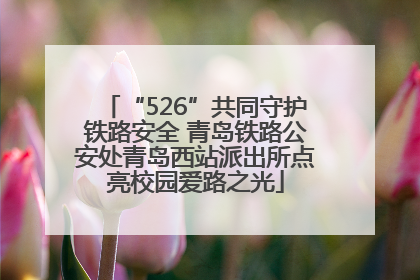 “526”共同守护铁路安全 青岛铁路公安处青岛西站派出所点亮校园爱路之光