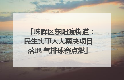 珠晖区东阳渡街道：民生实事人大票决项目落地 气排球赛点燃