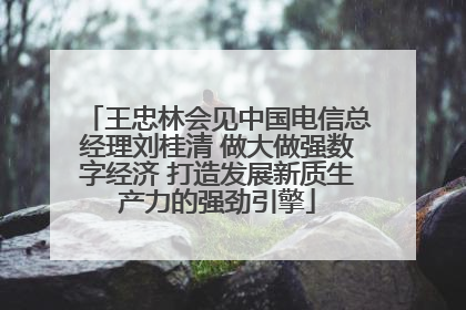 王忠林会见中国电信总经理刘桂清 做大做强数字经济 打造发展新质生产力的强劲引擎