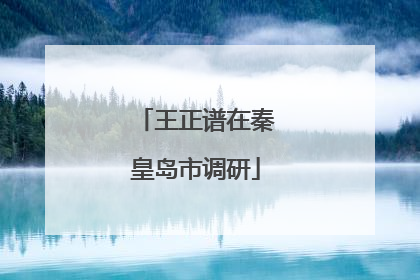 王正谱在秦皇岛市调研