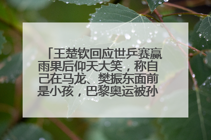 王楚钦回应世乒赛赢雨果后仰天大笑，称自己在马龙、樊振东面前是小孩，巴黎奥运被孙颖莎带着打
