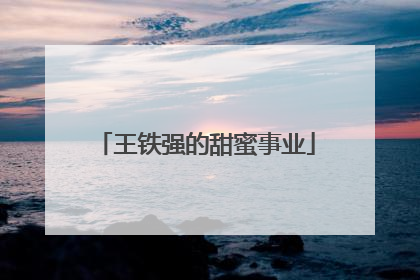 王铁强的甜蜜事业
