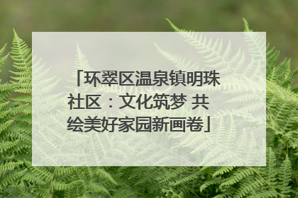 环翠区温泉镇明珠社区：文化筑梦 共绘美好家园新画卷