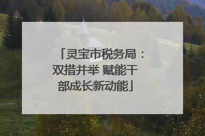 灵宝市税务局：双措并举 赋能干部成长新动能