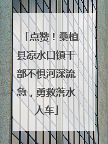 点赞！桑植县凉水口镇干部不惧河深流急，勇救落水人车