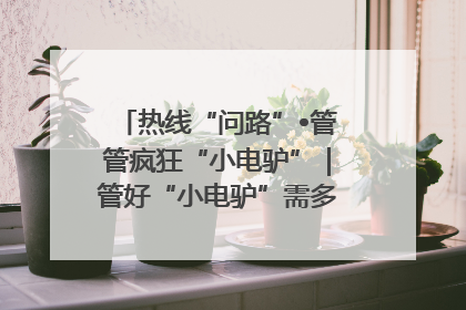 热线“问路”•管管疯狂“小电驴”｜管好“小电驴”需多部门形成合力